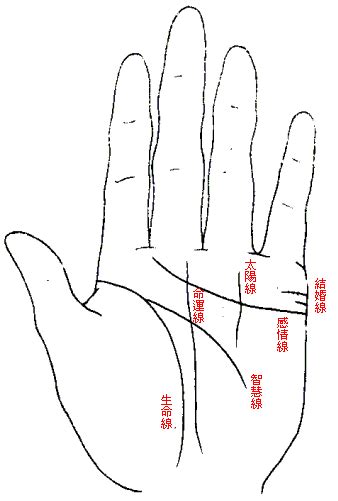 天陽玄機|手相掌紋深粗代表什麼